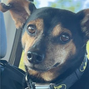 Meet your Posher, Steph